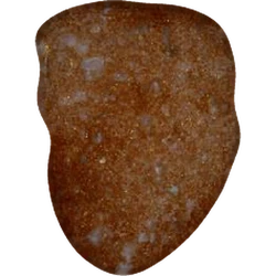 Comprimé Trump — MDMA 160mg — Vienna, Austria