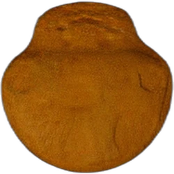 Comprimé Super Mario — MDMA — Suisse