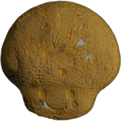 Comprimé Mushroom — MDMA — Suisse