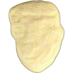 Comprimé Trump — MDMA — Suisse
