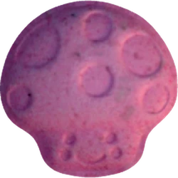 Comprimé Mushroom — MDMA 158mg — Vienna, Austria