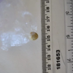 Comprimé Super Mario — CBD; CBN; THC; CBG — Hertsmere, Three Rivers, St Albans, Watford (WD25), England