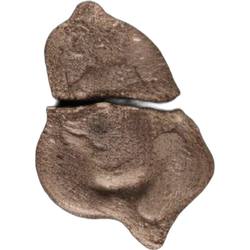 Comprimé Grim Reaper — MDMA; Unknown — Suisse