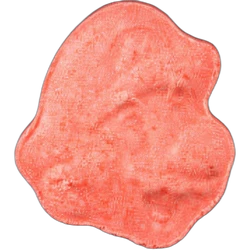 Comprimé Super Mario — MDMA 151mg — Zürich, Suisse