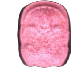 Comprimé Anonymous — MDMA 174mg — Madrid, Espagne