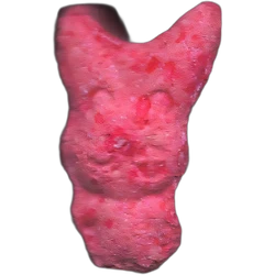 Comprimé Rabbit — 2C-B 10mg — Madrid, Espagne