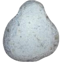 Comprimé Angry Bird — MDMA 124mg — Vienna, Austria