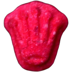Comprimé Rolex — Sugar — Barcelona, Espagne