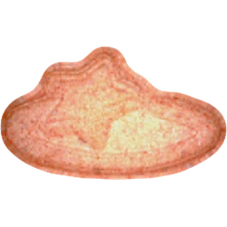 Comprimé Pop Smoke — MDMA 93mg — Vienna, Austria