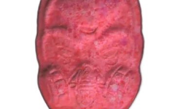 Comprimés Anonymous (Ecstasy / MDMA)