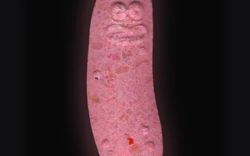 Comprimés Pickle Rick (Ecstasy / MDMA)