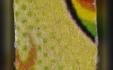 Comprimés SpongeBob (Ecstasy / MDMA)