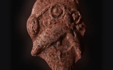 Comprimés Muten Roshi (Ecstasy / MDMA)