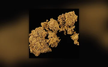 Rapport sur la pureté des drogues : semaine 34, 2026