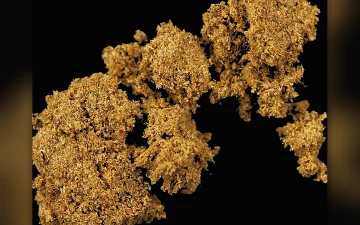 Haschisch Mit Synthethischen Cannabinoiden (résultats d’analyses de différents échantillons)