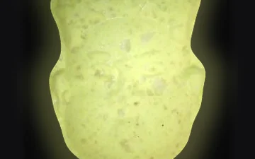 Comprimés NL (Ecstasy / MDMA)