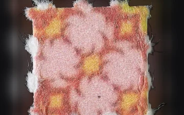 LSD Filz (résultats d’analyses de différents échantillons)