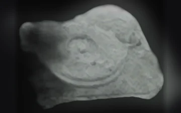 Comprimés Tocadiscos (Ecstasy / MDMA)