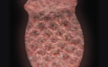 Comprimés Pina (Ecstasy / MDMA)