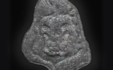 Comprimés Leon (Ecstasy / MDMA)
