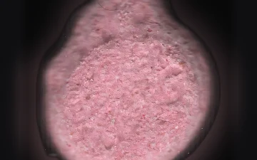 Comprimés Burguer King (Ecstasy / MDMA)