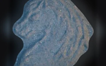 Comprimés Pegasus (Ecstasy / MDMA)