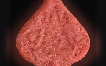 Comprimés Pica (Ecstasy / MDMA)
