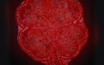 Comprimés Four-Leaf Clover (Ecstasy / MDMA)