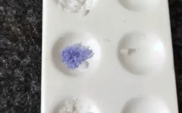 Le 1P-LSD ne rend pas l’Ehrlich violet