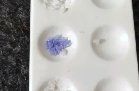Le 1P-LSD ne rend pas l’Ehrlich violet