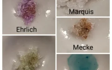4-PrO-MET, 4-AcO-MET et 4-HO-MiPT : les nouvelles tryptamines