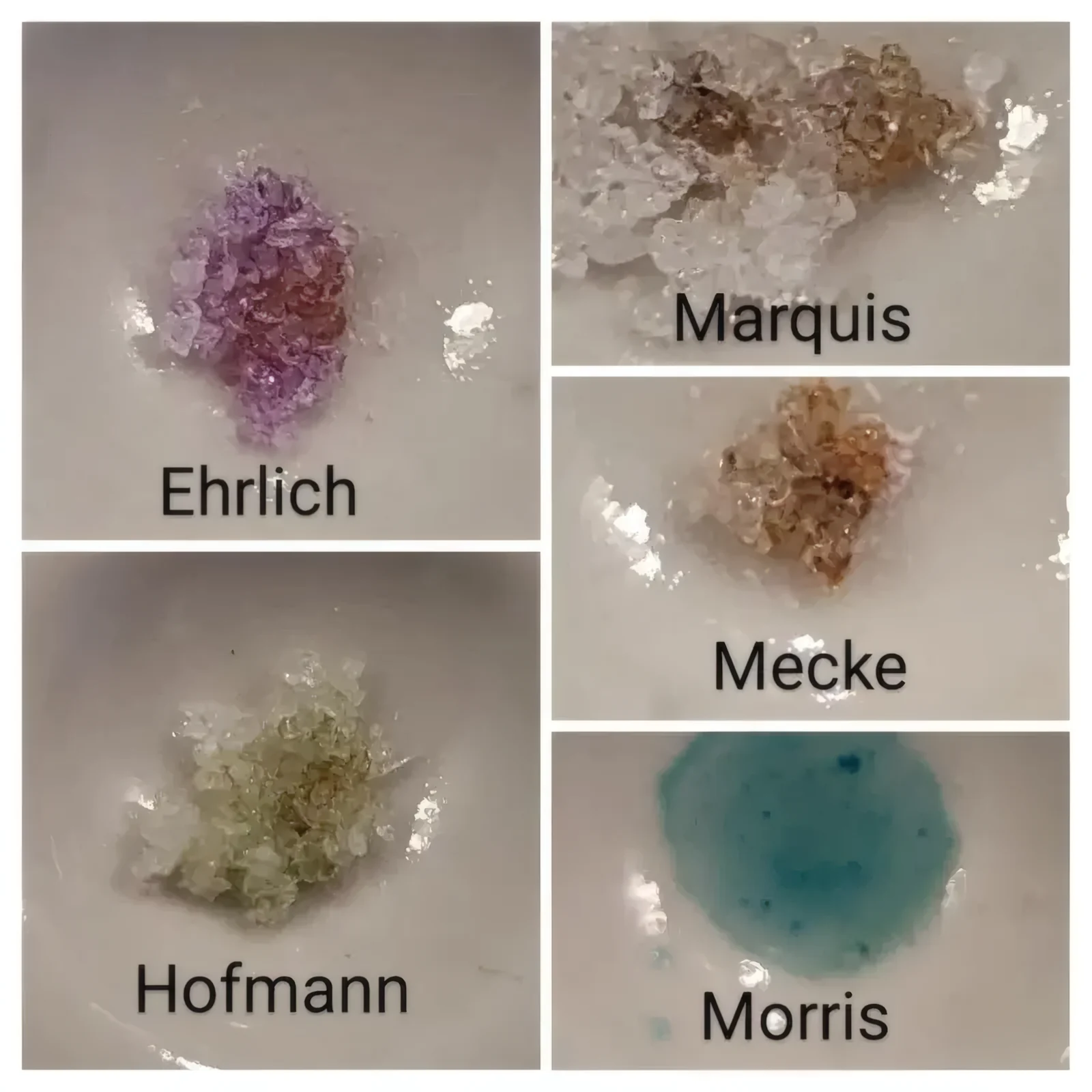 4-PrO-MET, 4-AcO-MET et 4-HO-MiPT : les nouvelles tryptamines