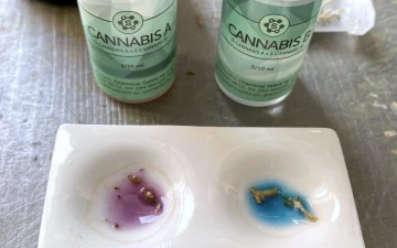 Instructions du test au réactif Cannabis