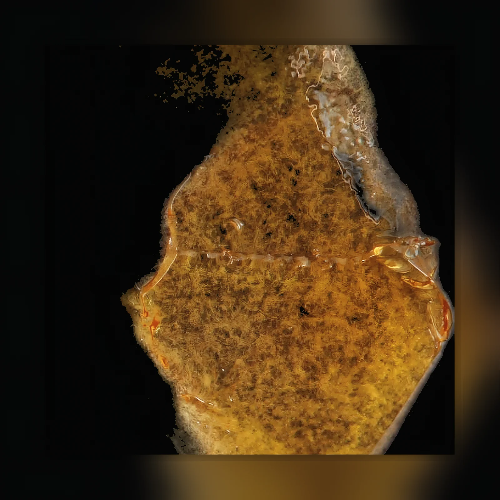 Huile de cannabis delta-8