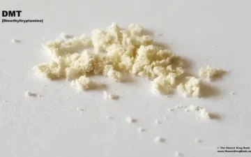 Poudre de DMT