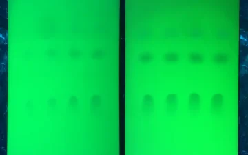 Cartes de test TLC sous lumière UV