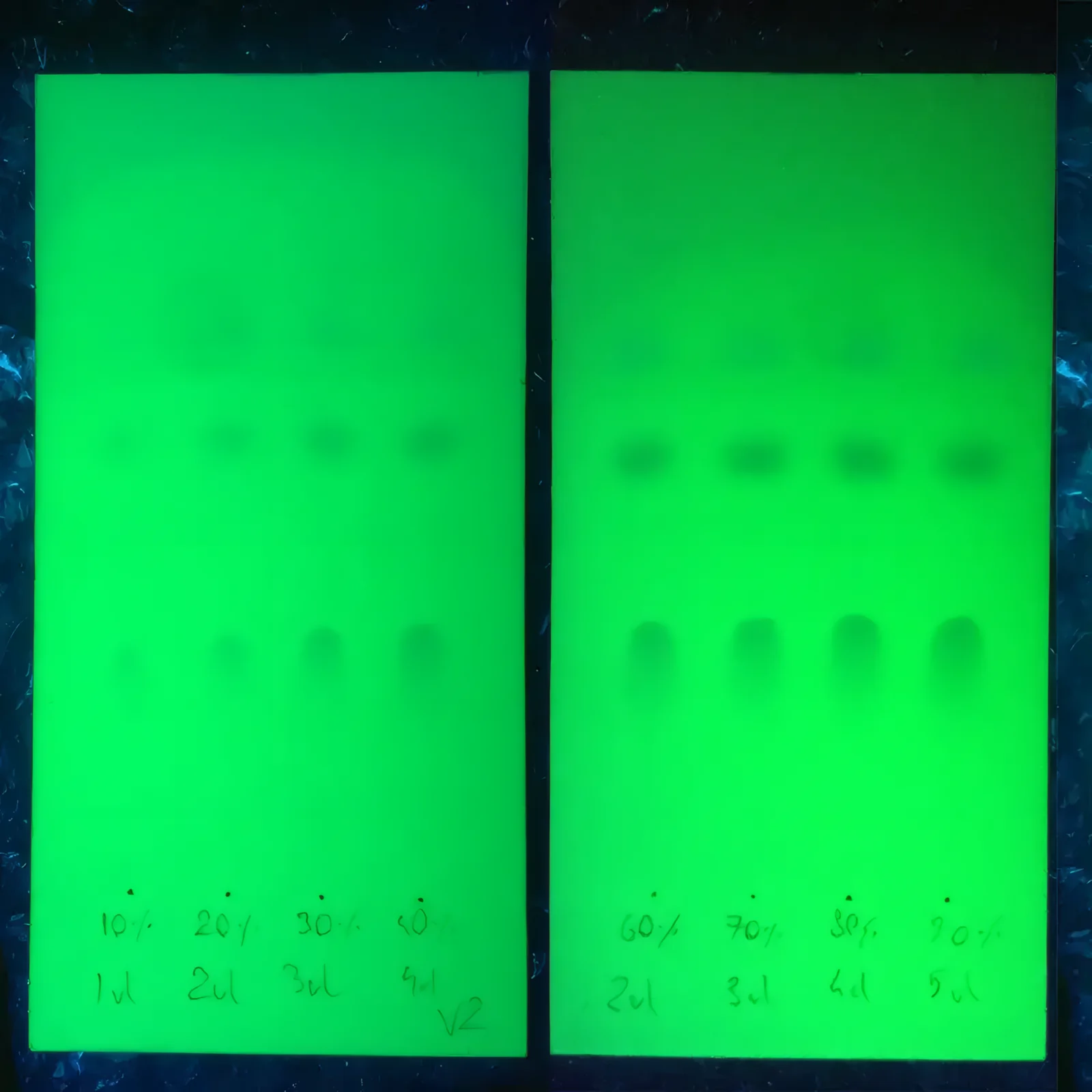 Cartes de test TLC sous lumière UV