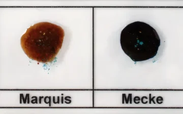 Détecter amphétamine ou méth dans la MDMA