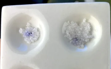 Comment tester le LSD ?