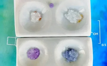 Comment tester les dérivés du LSD ?