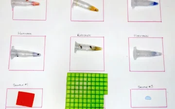 Tester des gel tabs de LSD avec les réactifs Ehrlich et Hofmann : nuancier