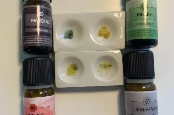 Réactif Froehde : ce qu'il détecte et où il échoue