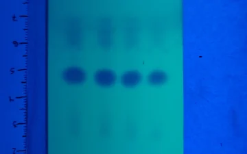 Kits de test de pureté pour l'amphétamine, la MMC et la CMC