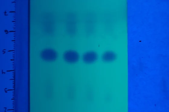 Kits de test de pureté pour l'amphétamine, la MMC et la CMC
