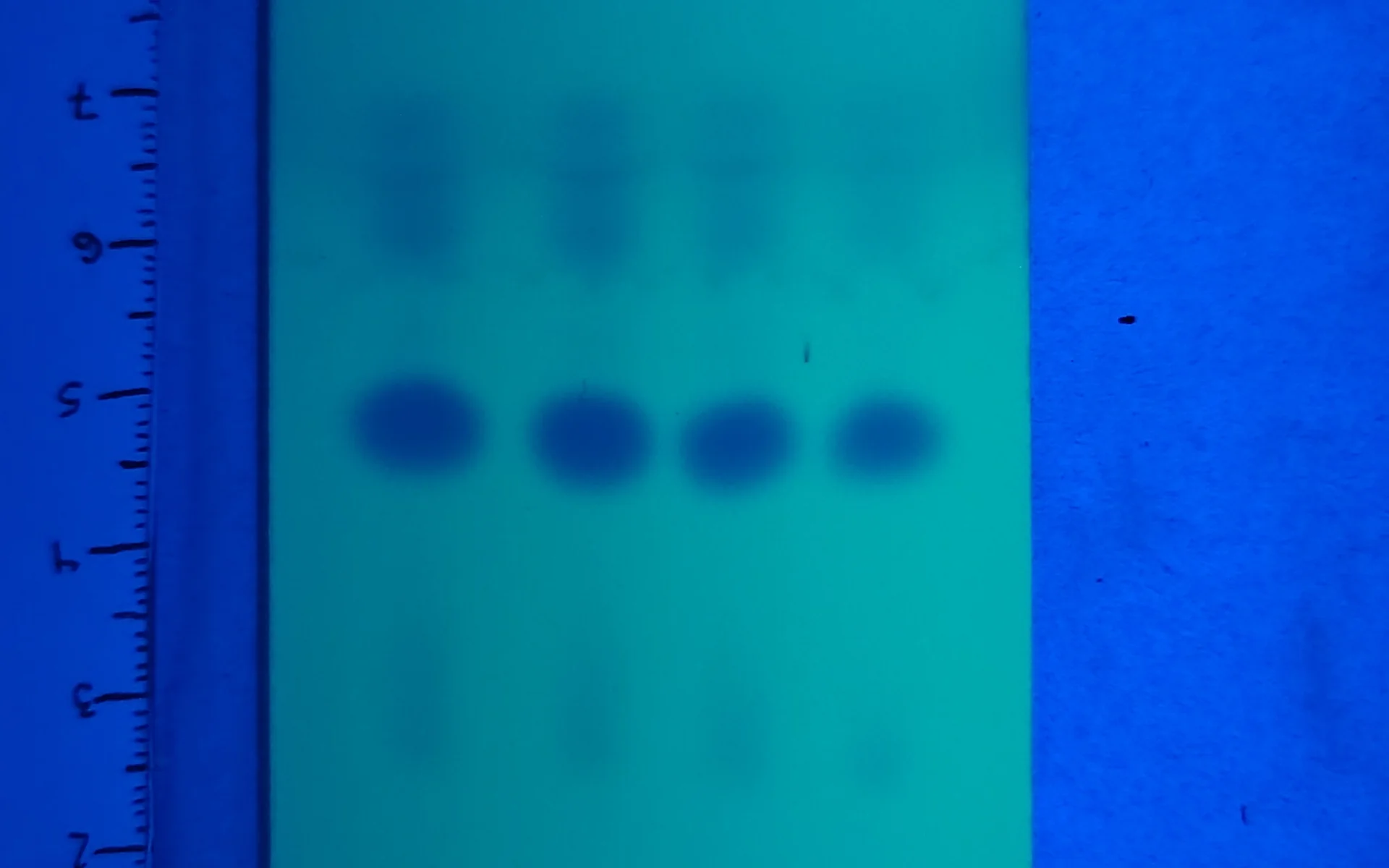 Kits de test de pureté pour l'amphétamine, la MMC et la CMC
