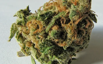 Qu'est-ce que le THC ?