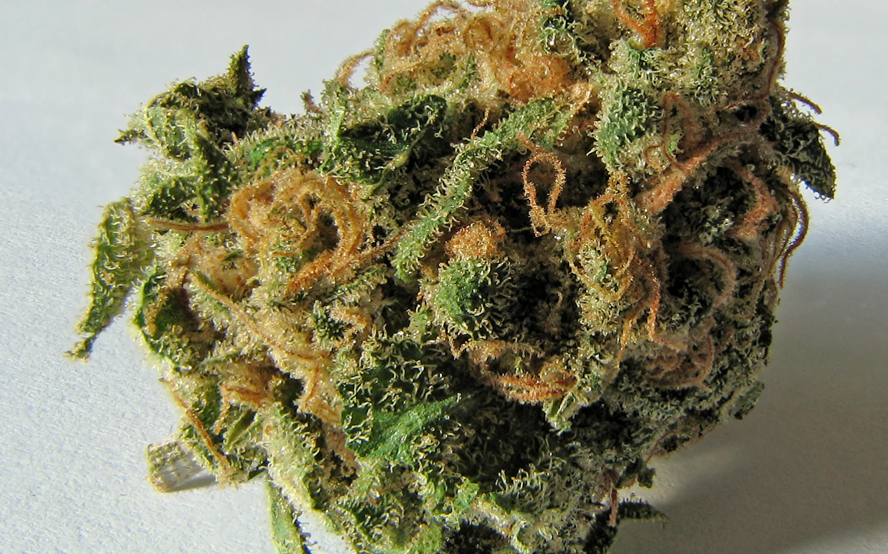 Qu'est-ce que le THC ?