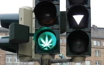 Que contiennent les produits au cannabis et au CBD ?