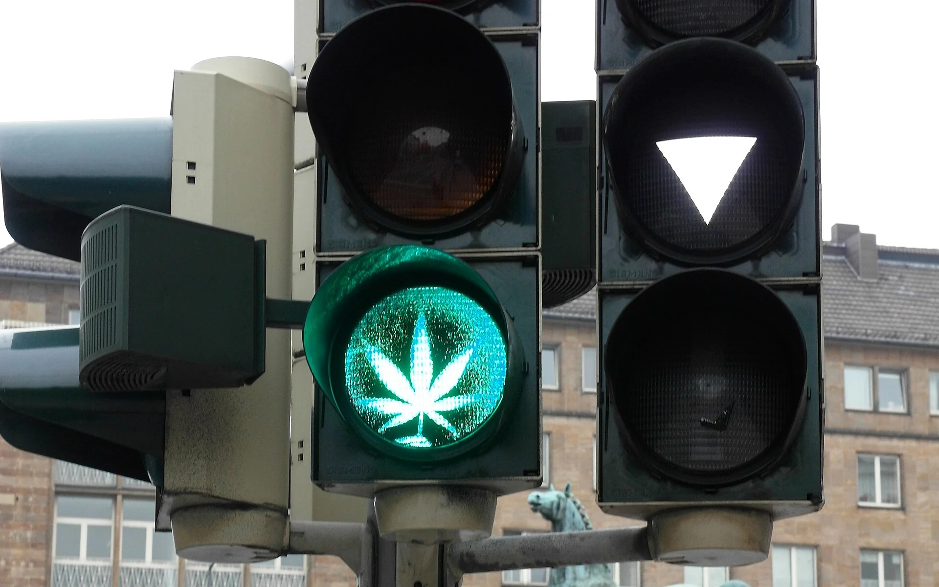 Que contiennent les produits au cannabis et au CBD ?
