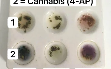Quels cannabinoïdes de synthèse sont sur le marché ?